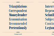Gerard Display, a Serif Font by Rafael Jordan (Thumbnail 9 of 12)