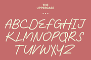 Wyleri Expressive Handwritten Fonts, a Script Font by Black Junst (Thumbnail 6 of 8)