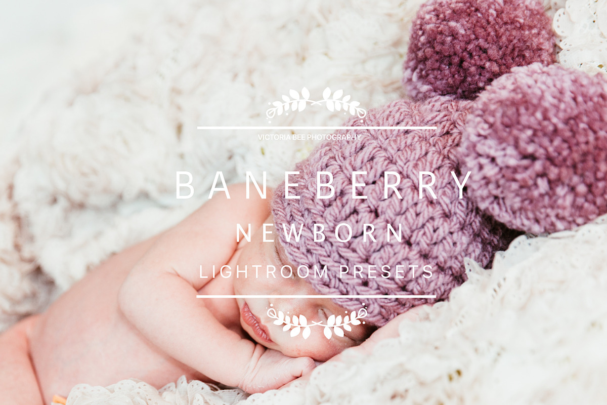 Desktop Lightroom Presets BANEBERRY preview 2