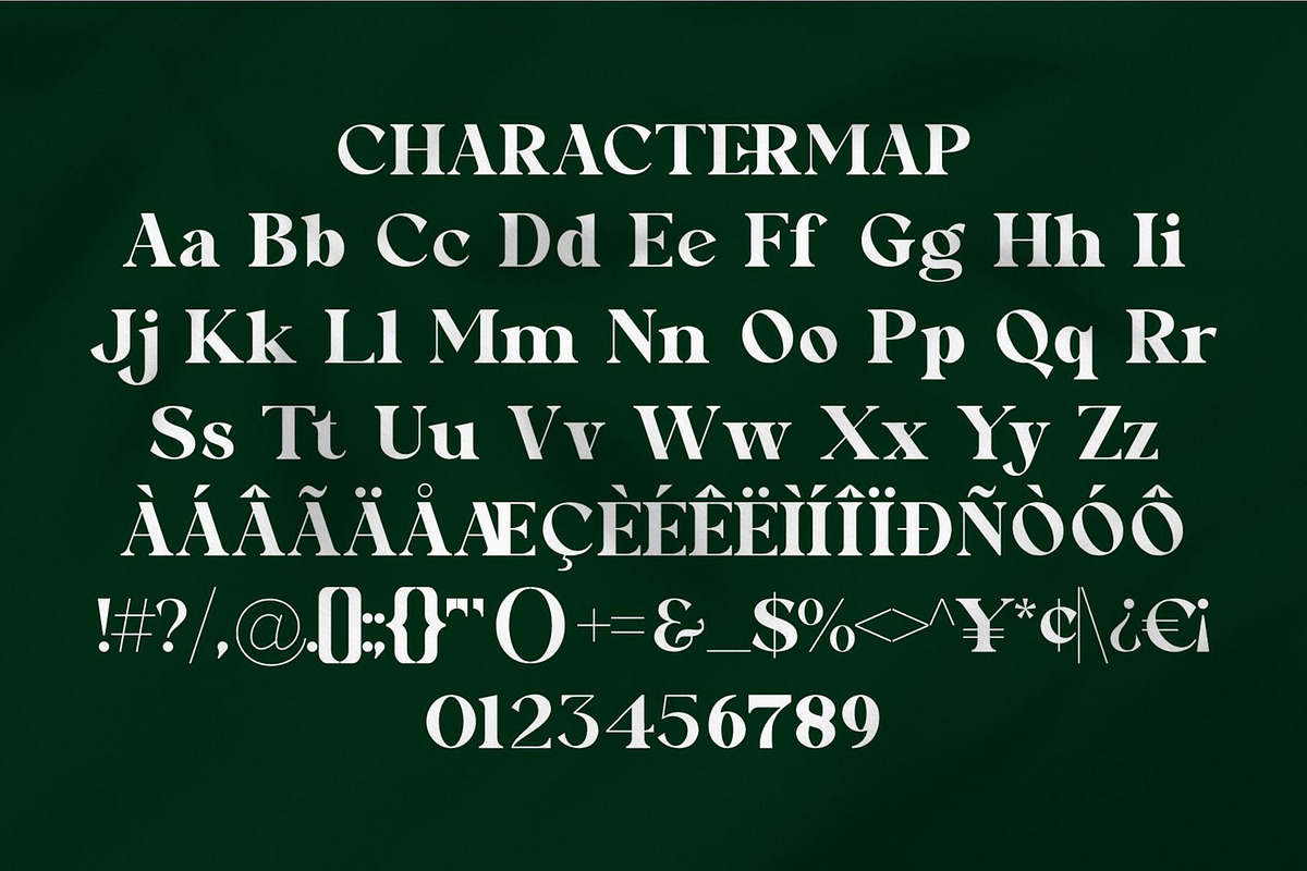 Qaniga || Modern Classy Serif Font, a Serif Font by Ermedia Studio (Photo 10 of 10)