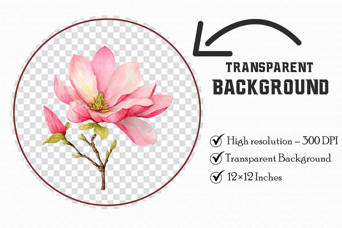 Watercolor Pink Magnolia clipart, an Illustration by Libby Wishes (Photo 3 of 7)