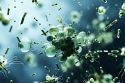 52 Fictional Microscopic Organisms, an Abstract Photo by h.utomo (Thumbnail 52 of 52)