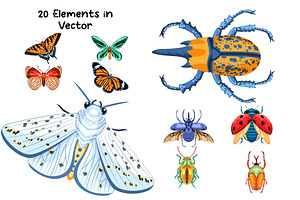 20 Vector Insects Illustrations