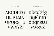 Zolina Modern Font, a Sans Serif Font by creativemedialab (Thumbnail 4 of 14)