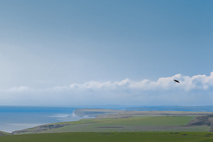Bird soaring over coastal landscape with green fields and distant cliffs. East, a Photo by Studio ANNA