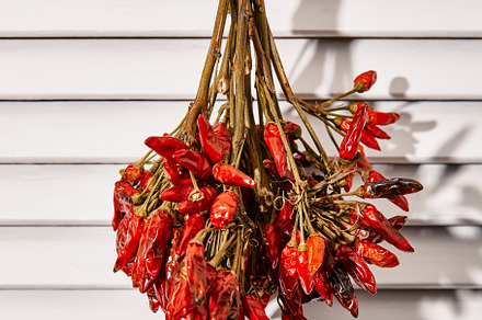 Bunch of dried chilli peppers