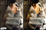 10 Curious Cat Lightroom Presets, a Preset Add-On by LucaTheme (Thumbnail 9 of 9)