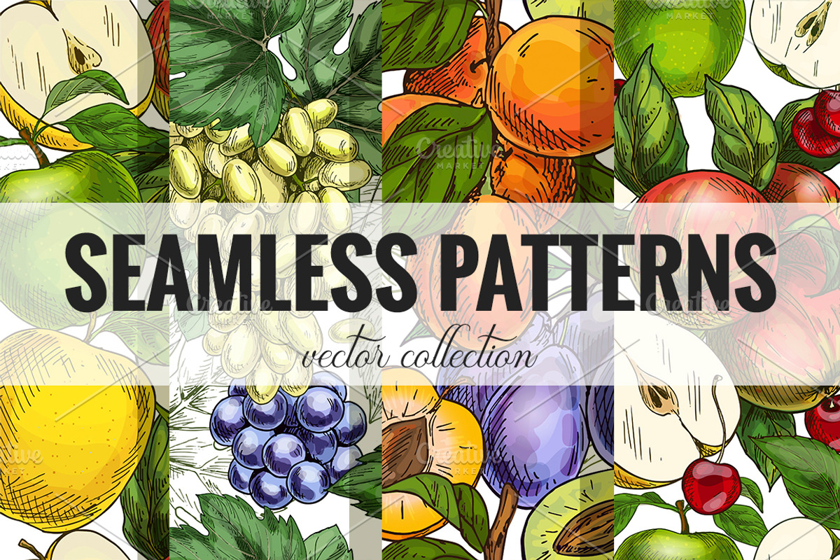 Garden Fruits, vector collection, a Food Illustration by JSolomatina (Photo 6 of 6)