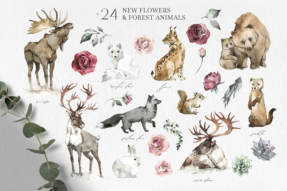 Forest Legends Winter animal set, a Seasonal Illustration by Anastezia Luneva (Photo 2 of 17)