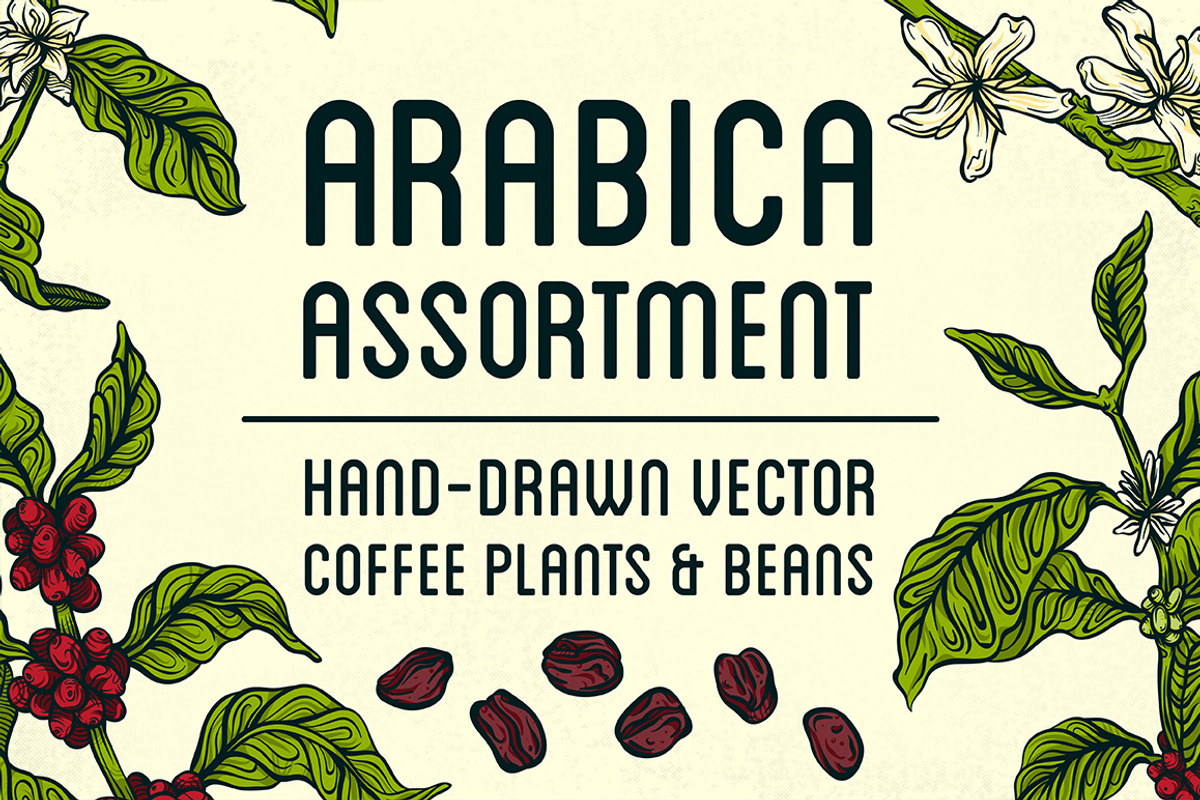 Arabica Assortment, a Food Illustration by melissadn (Photo 1 of 5)