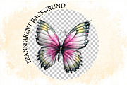 Whimsical Spring Butterfly Clipart B, an Illustration by SVGArt (Thumbnail 8 of 9)
