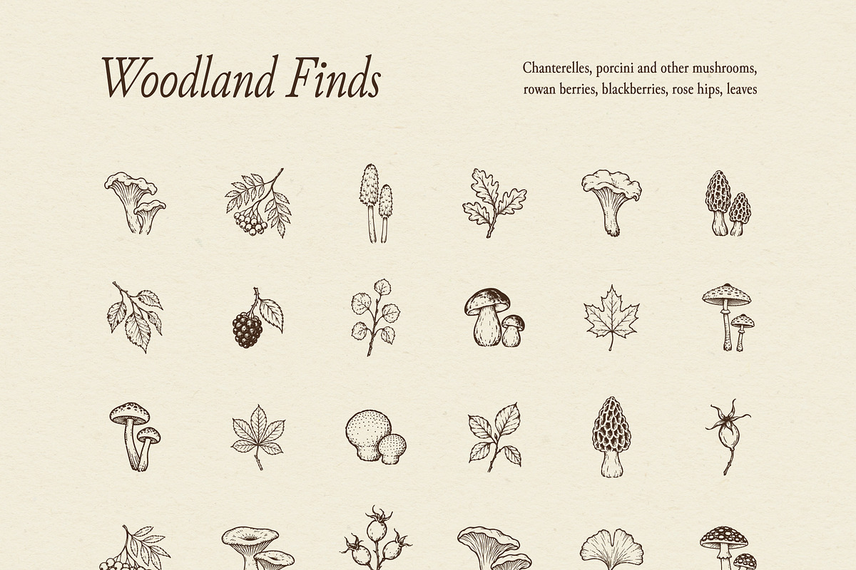 FOREST TREASURES illustrations, a Seasonal Illustration by Crocus Paperi (Photo 5 of 8)