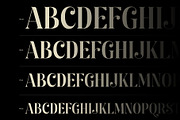Kage Pro - Neoclassical Display Font, a Serif Font by Balibilly Design (Thumbnail 6 of 17)