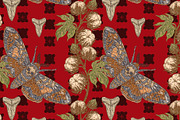Hawk Moth, Cotton and Shark Tooth, a Pattern Graphic by NayaChu (Thumbnail 1 of 10)