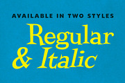 Jazzcat | Retro Display Type!, a Serif Font by StudioWorks (Thumbnail 2 of 7)