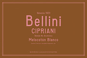 New York Bird Store, a Sans Serif Font by Komet & Flicker (Thumbnail 12 of 13)