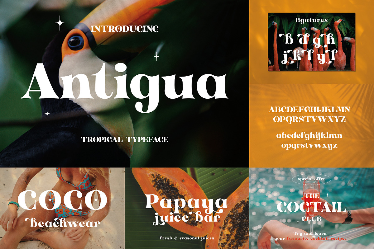 Hawaii Font Bundle - 71 Fonts!, a Serif Font by HipFonts (Photo 15 of 19)