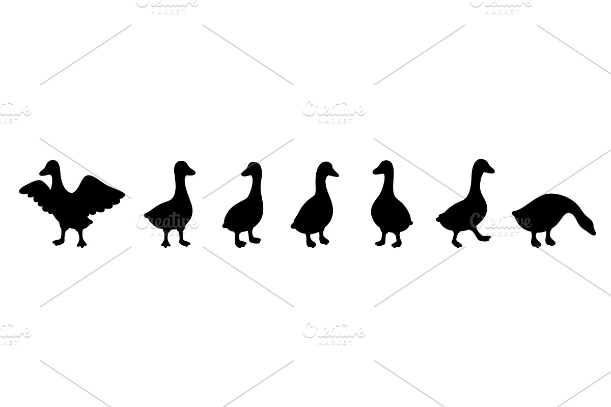 Minimal goose silhouettes in walking, an Animal Illustration by GraphiShop