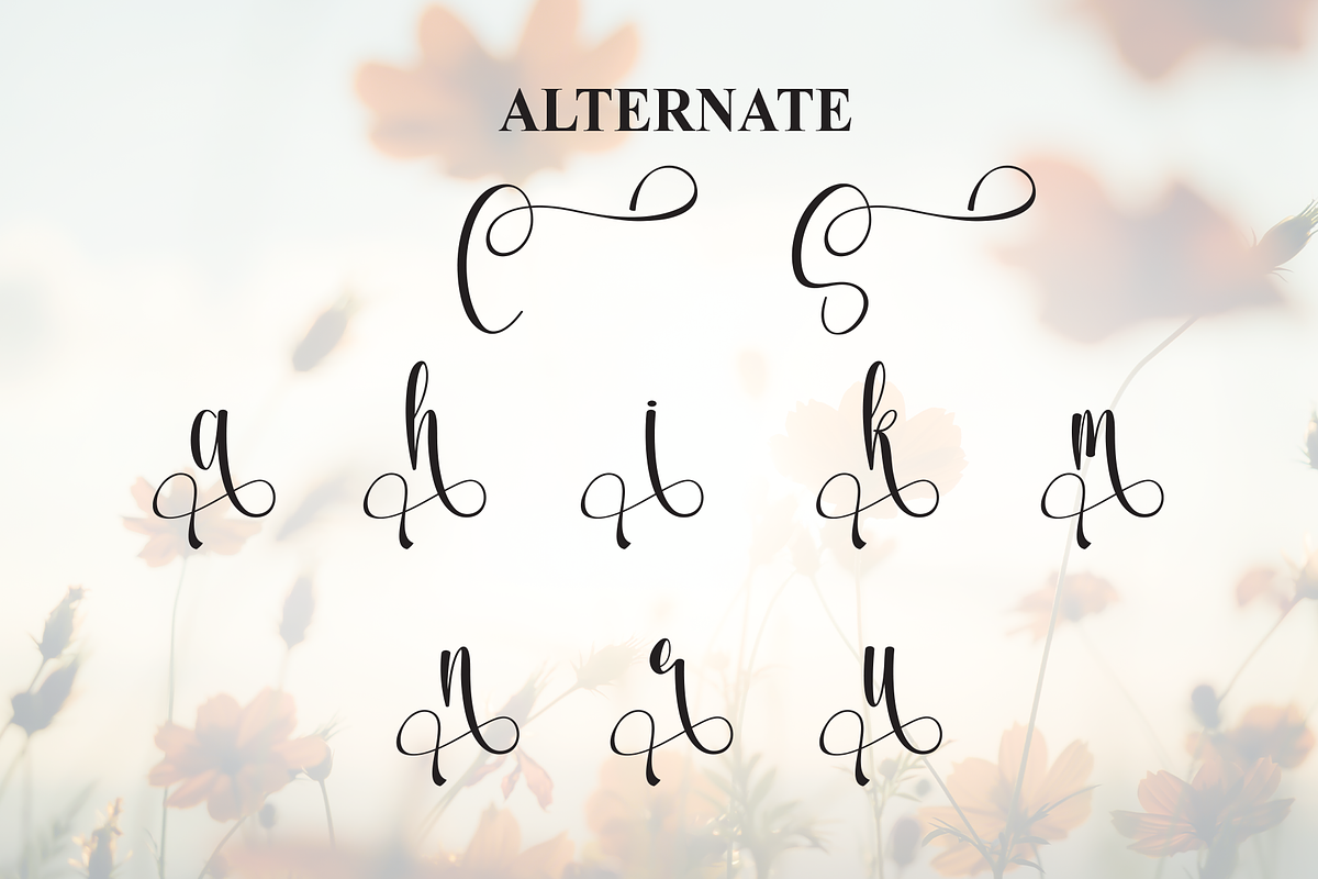 Spring | Script Font, a Handwritten Font by Scratchones (Photo 8 of 9)