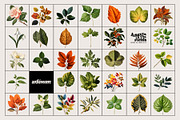 BOOK OF FLOWERS 2 Clipart, an Object Graphic by angelainthefields (Thumbnail 12 of 13)