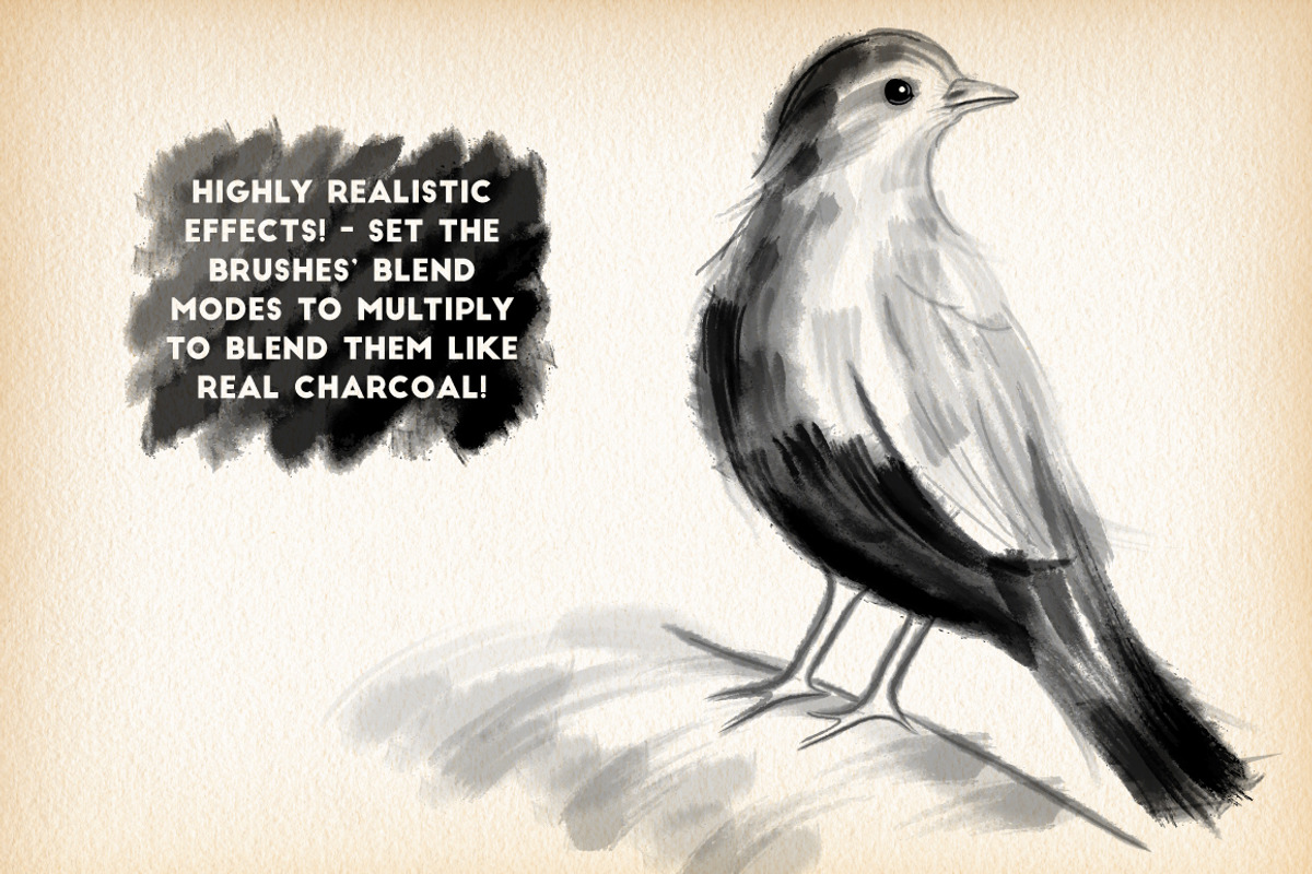 Charcoal Brushes preview 2
