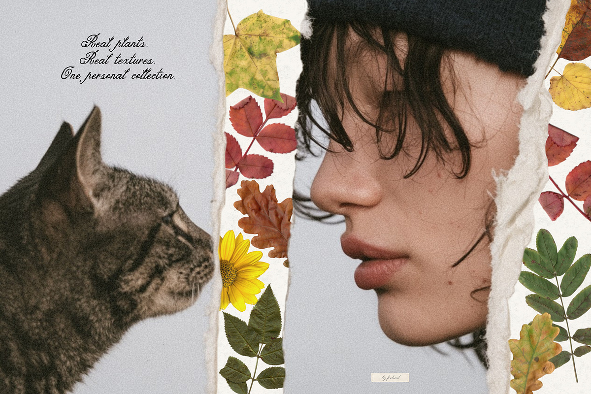 Tender Flora: Botanical Scrapbook, an Object Graphic by Feelsoul (Photo 9 of 10)