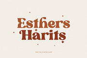 Blanch Sage - Retro Font, a Serif Font by Sans & Sons (Thumbnail 2 of 10)