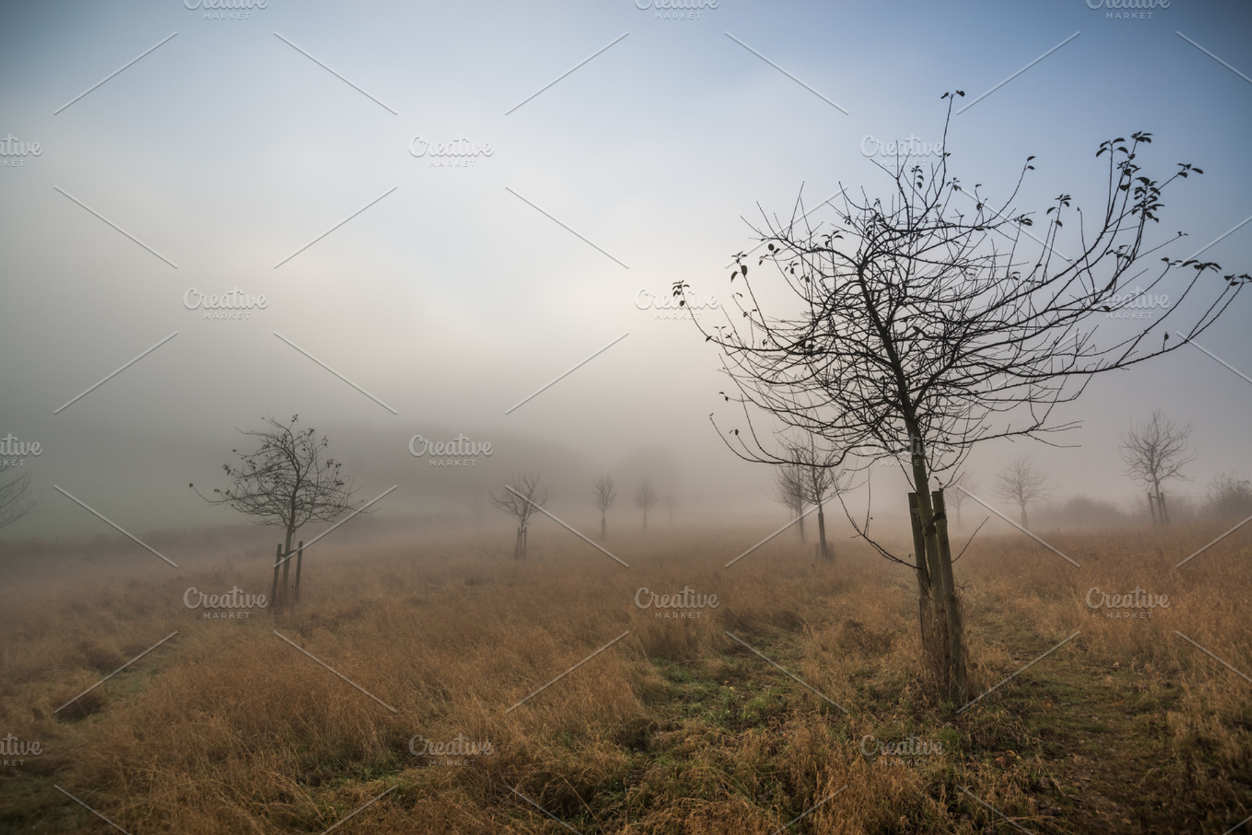 Nebulous days stock photo containing fog and weather, a Nature Photo by Screeny's Photo Bucket