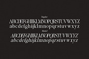 Glisstory, a Serif Font by Pista Mova (Thumbnail 14 of 20)
