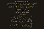 Tomithayen, a Script Font by Integritype Studio (Thumbnail 13 of 15)