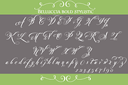 Belluccia Pro Bold Font, a Script Font by Debi Sementelli (Thumbnail 4 of 5)