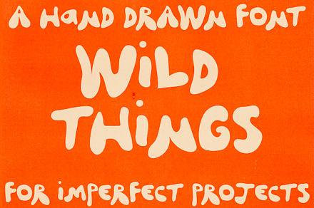 Wild Things - Hand Drawn Font, a Handwritten Font by Madeline ODonoghue Design
