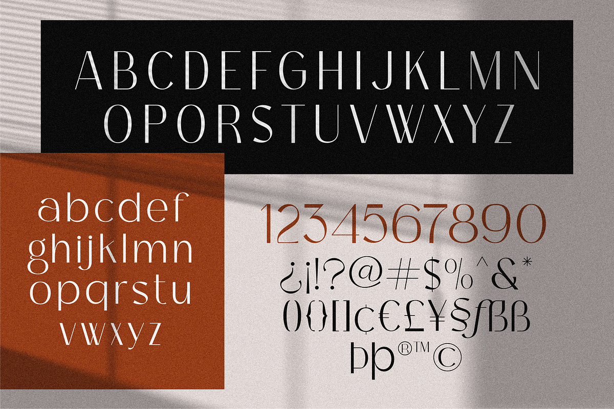 Bagina Serif, a Serif Font by 24Design Studios (Photo 7 of 8)