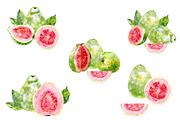 Watercolor tropical fruits., an Illustration by TaPilipa (Thumbnail 12 of 39)