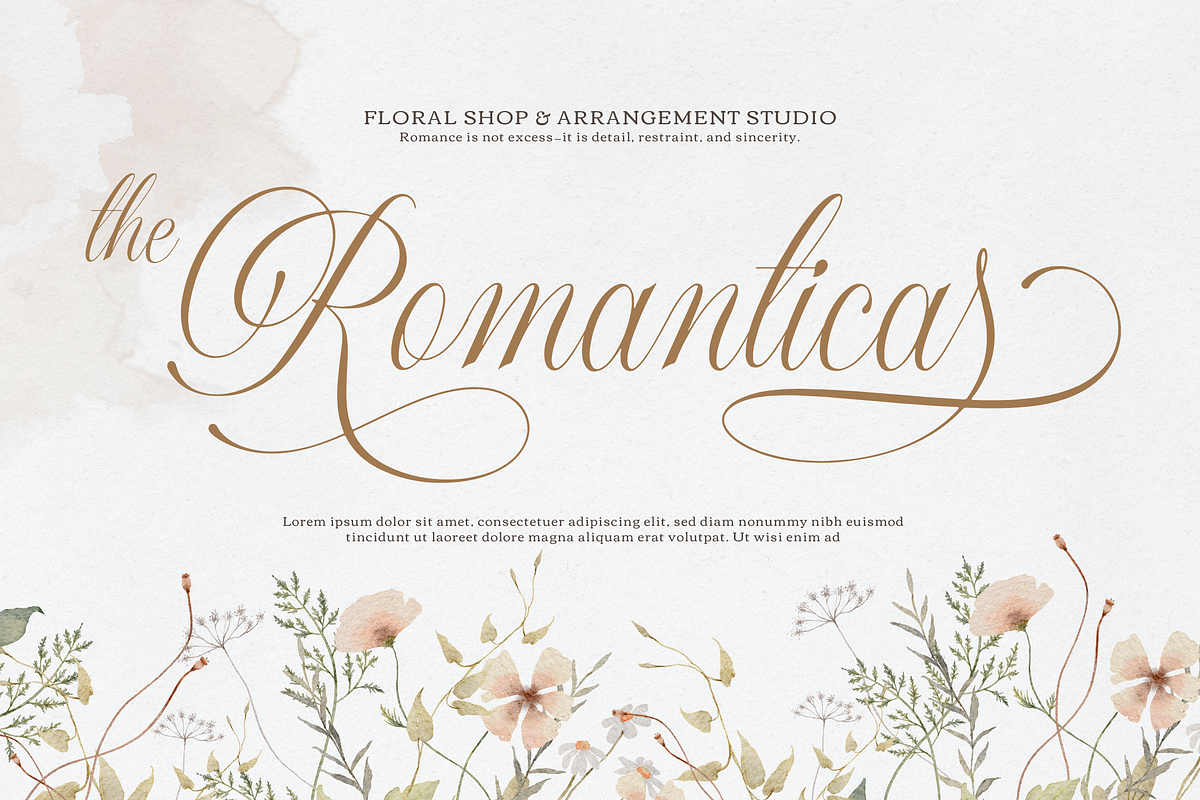 Sirclair Miwareta Beauty Calligraphy, a Script Font by Denustudios (Photo 9 of 12)