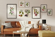 Medicinal plants collection, a Healthcare Illustration by handsketched (Thumbnail 4 of 9)