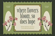 Modiserif, a Serif Font by graphicook (Thumbnail 8 of 10)