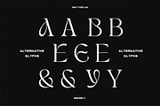 TAN - WAVERLY, a Serif Font by TanType (Thumbnail 12 of 22)