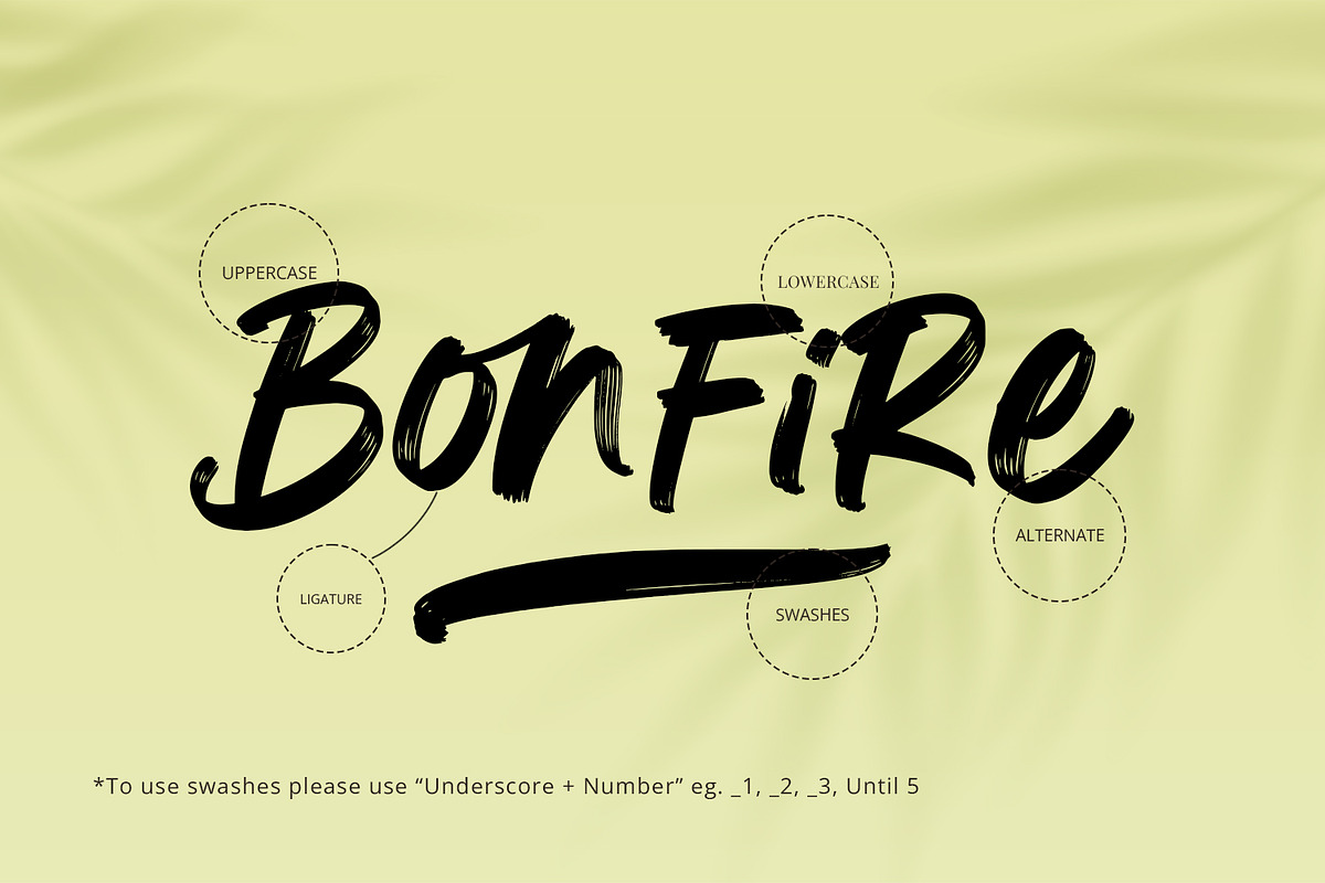 Bonfire - Modern Brush Font, a Handwritten Font by Alpaprana (Photo 2 of 13)