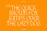 TAN - LUNA NEGRA, a Serif Font by TanType (Thumbnail 8 of 16)