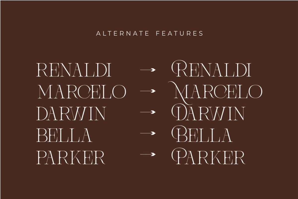 Brisca Miera - Chic Ligature Font, a Serif Font by suhadidesign (Photo 7 of 13)