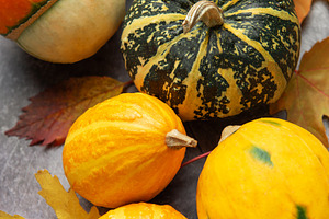 Autumn gourds pumpkins and squash decorating a fall setup, a Food & Drink Photo by Olena Rudo