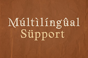Goldenrod – Medieval Decorative, a Serif Font by Typehand Studio (Thumbnail 10 of 10)