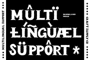 Bandaland Rough, a Serif Font by Craft Supply Co. (Thumbnail 5 of 8)