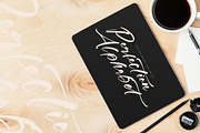 Rosetwood Adorattion Modern Script, a Script Font by Letterena Studios Script (Thumbnail 5 of 15)