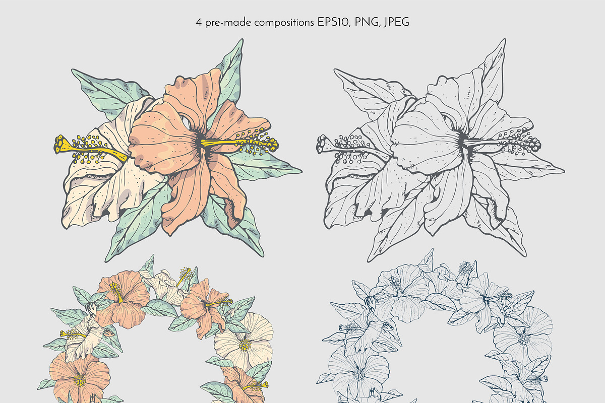 Hibiscus Line Drawing Floral Pattern, a Pattern Graphic by Rose Design (Photo 10 of 12)
