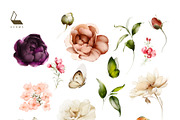 Eva | Botanical set | 200+ images, an Illustration by Karma (Thumbnail 30 of 32)