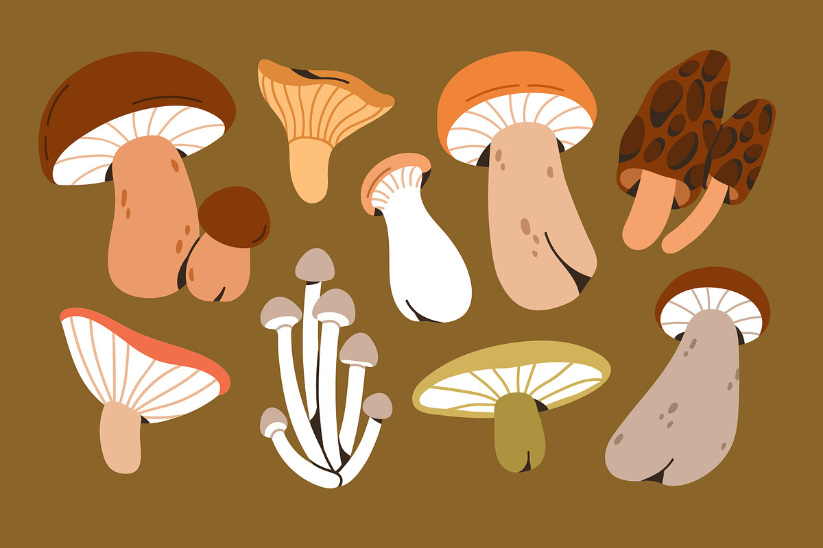 Autumn mushrooms, forest fungi set, a Food Illustration by Good Studio (Photo 5 of 6)