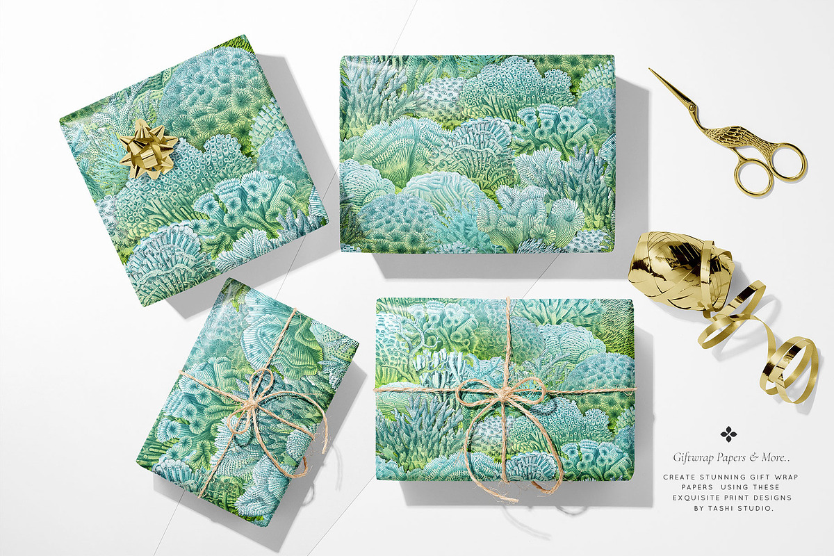 Pelagia, Luxury Coral reef Prints++, a Pattern Graphic by Pink Linen (Photo 10 of 15)