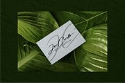 Solustion Bold Signature, a Script Font by Glyphstyle (Thumbnail 8 of 11)